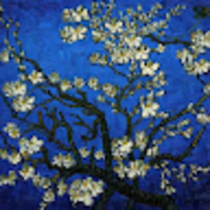 Meet your Posher, Lindsay